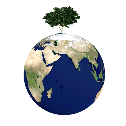 tree on earth ,Elements of this image furnished by NASA,3D rendering