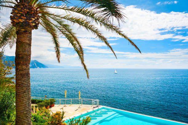 istock Swimming pool with palm tree on the beach. 1128686167