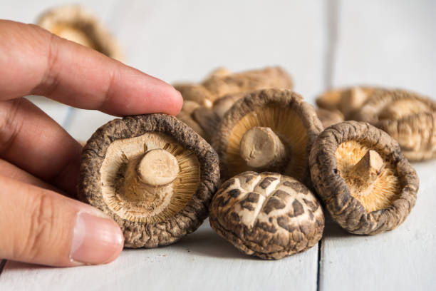 istock Hand holding dried shiitake mushrooms on white wooden 1128687487