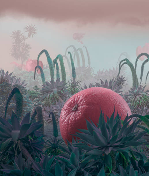 mystery garden with giant fruits
