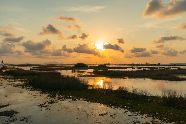istock beautiful sunset at Talay Noi lake 1128693063