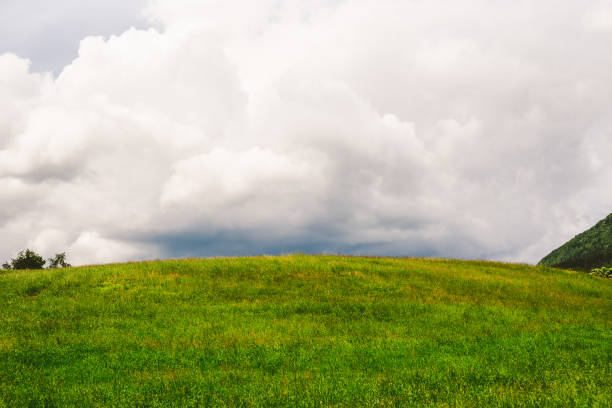 burza nad polami - grass area grass summer horizon zdjęcia i obrazy z banku zdjęć