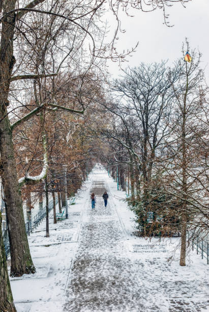 istock Snowfall over ile aux Cygnes in Paris 1128694372