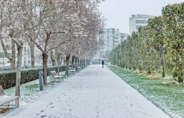 Woman walking on a path of Parc Andre Citroen during a snowfall - Paris, France