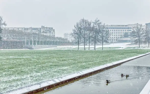 Ducks swiming in a canal of Parc Andre Citroen during a snowfall - Paris, France