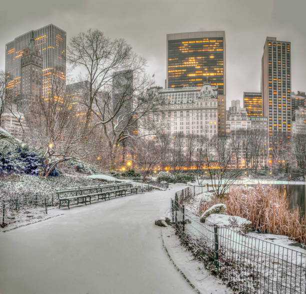 istock Central Park, New York City in winter 1128694943