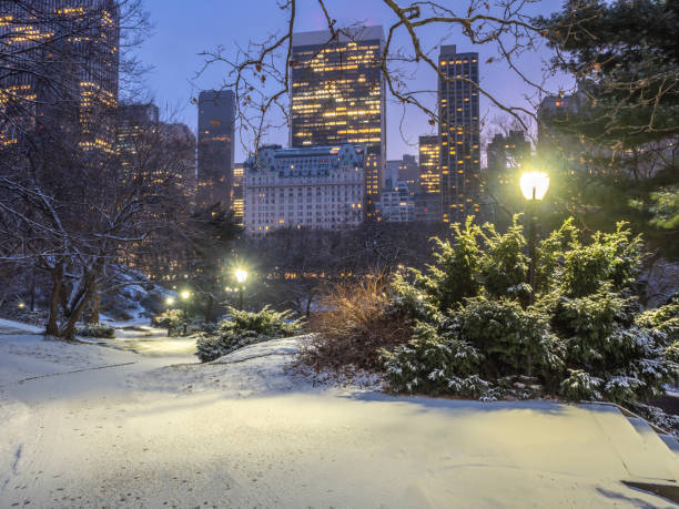 istock Central Park, New York City in winter 1128695002