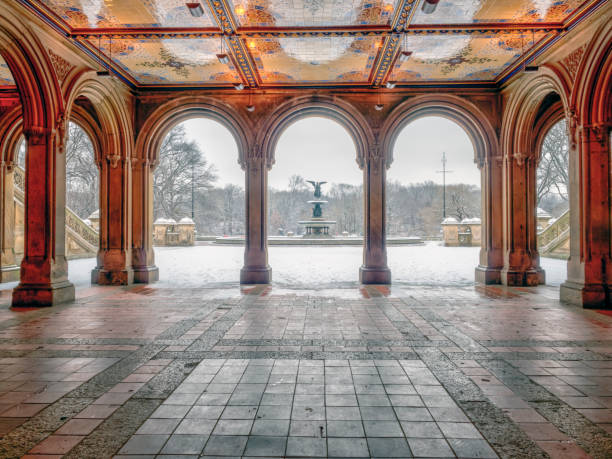 istock Central Park, New York City in winter 1128695064