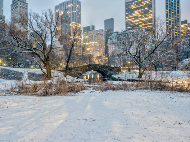 istock Central Park, New York City in winter 1128695189