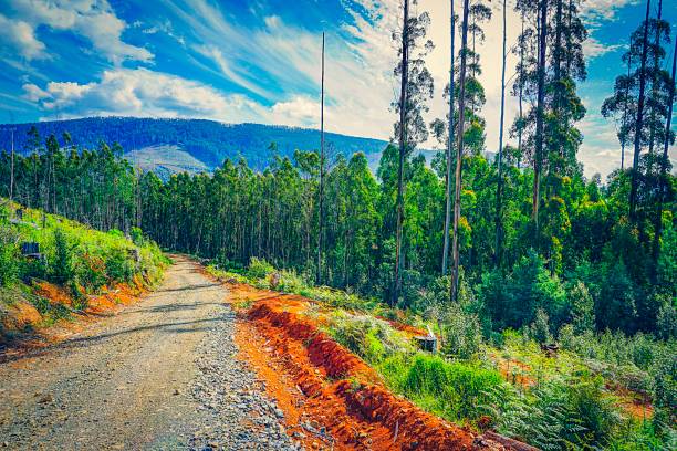 outback in australia - north hancock foto e immagini stock