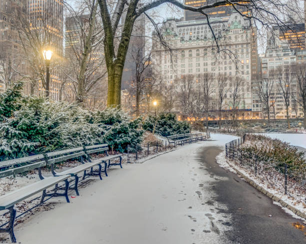 central park, new york city in winter - snow winter bench park imagens e fotografias de stock