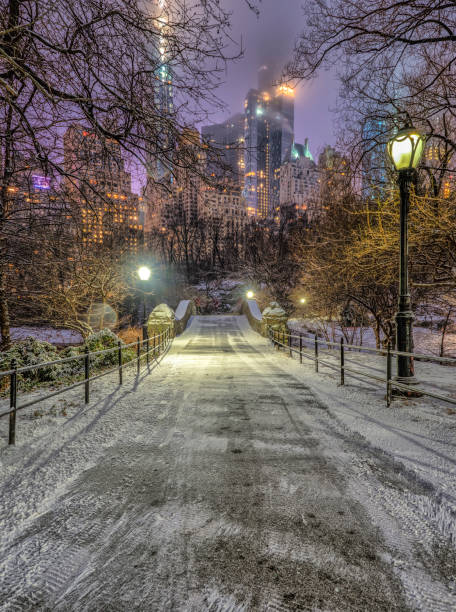 istock Central Park, New York City in winter 1128695375