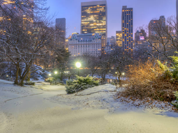 istock Central Park, New York City in winter 1128695381