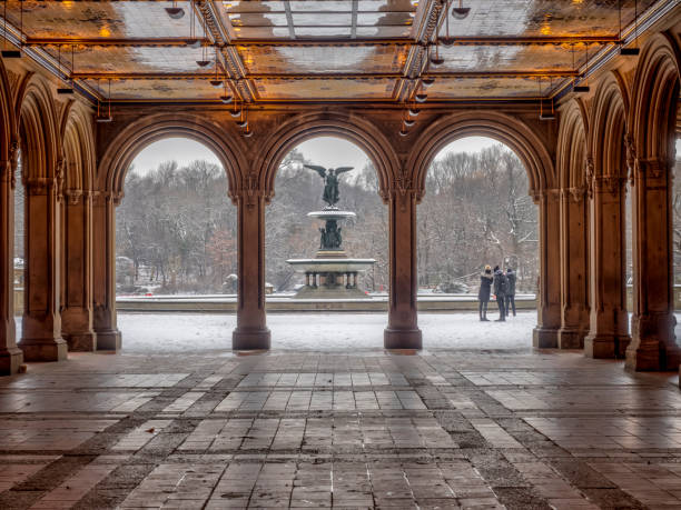 istock Central Park, New York City in winter 1128695395