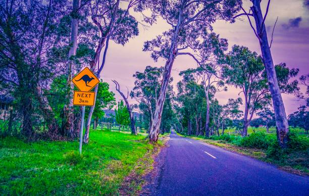 outback en australia - north hancock fotografías e imágenes de stock