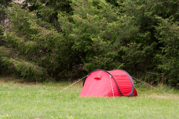 istock A red tent on camping park with forest on the background 1128698678
