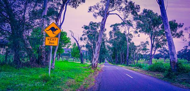 outback in australia - north hancock foto e immagini stock