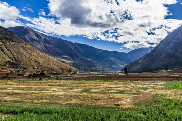 raccolta nelle ande peruviane - block the americas mountain peak plateau foto e immagini stock