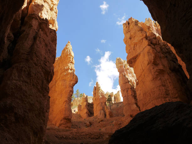 istock bryce canyon national park - Utah USA America 1128708652