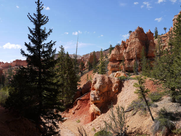 istock bryce canyon national park - Utah USA America 1128708773