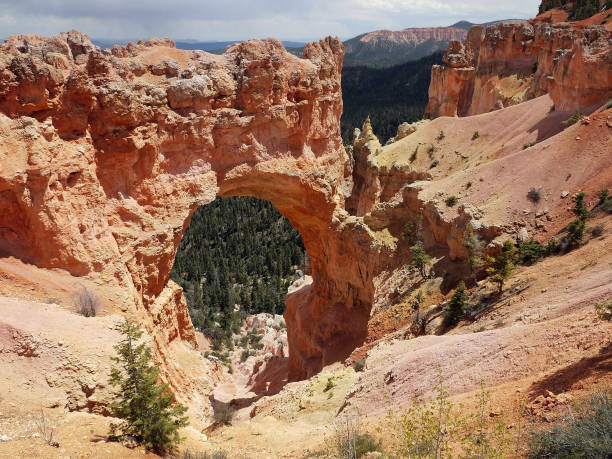 istock bryce canyon national park - Utah USA America 1128711214
