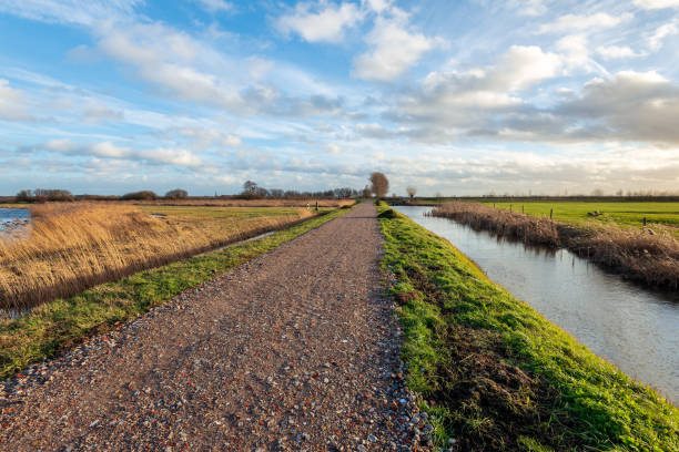 променая дорога покрыта щебнем в голландском польдере - polder autumn dirt field стоковые фото и изображения