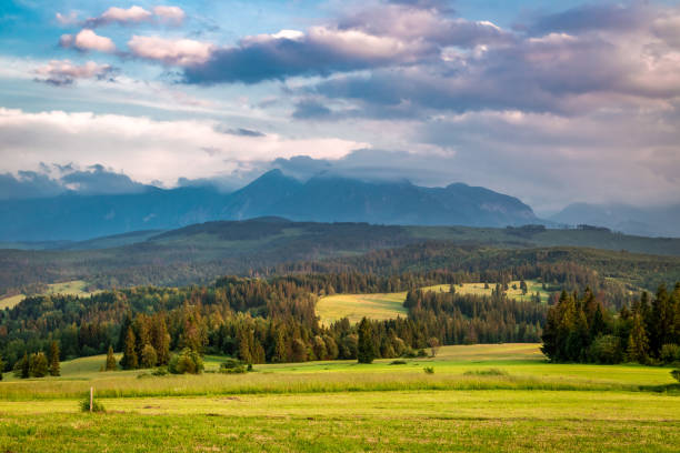 istock Belianske Tatra mountains in summer at sunset, Poland 1128712838