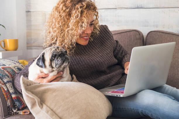 attraente donna di mezza età con il suo miglior amico vecchio carlino cane che lavora insieme su un laptop a casa - guardare film al computer e controllare i social media per le persone moderne - concetto di internet e notebook - furniture internet adult blond hair foto e immagini stock