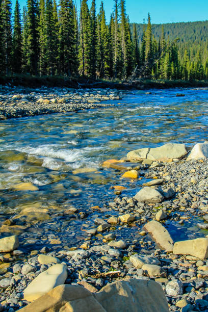 istock Waiprous Creek flows through the North Ghost, North Ghost Provincial Recreation Area 1128716212