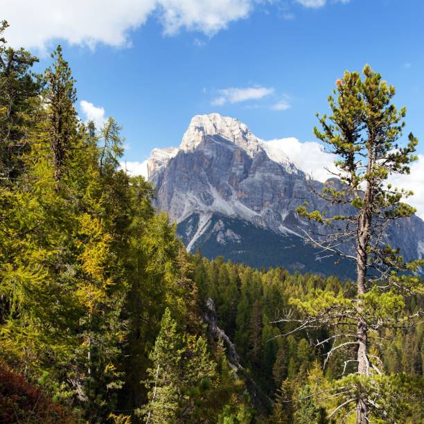 istock Cristallo gruppe, Alps Dolomites mountains, Italy 1128717658