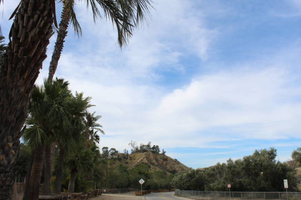 istock MONSTROUS MACHINATIONS - BIG TUJUNGA CANYON ROAD - 122418 E 1128723999