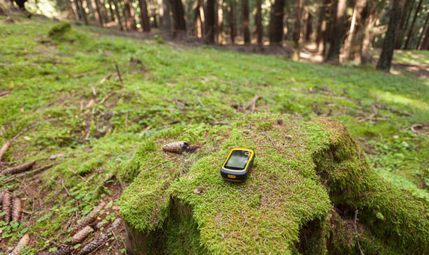 istock finding the right position in the forest with a gps 1128725715