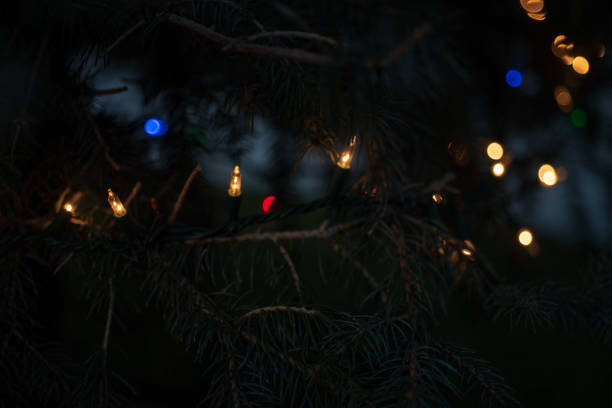 istock strings Christmas lights illuminated at night on pine tree outdoors 1128727062