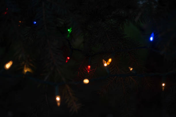 istock strings Christmas lights illuminated at night on pine tree outdoors 1128727153