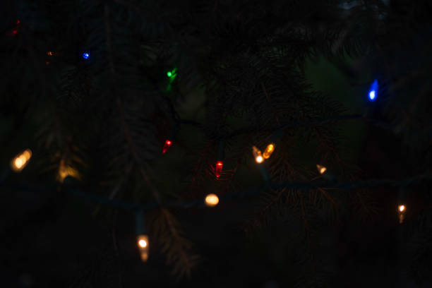 istock strings Christmas lights illuminated at night on pine tree outdoors 1128727157