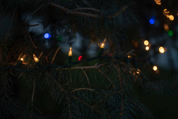 istock strings Christmas lights illuminated at night on pine tree outdoors 1128727158