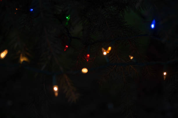 istock strings Christmas lights illuminated at night on pine tree outdoors 1128727160