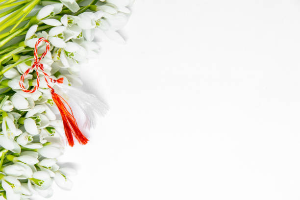 snowdrops flowers arranged on white background with copy space and first of march romanian bulgarian symbolic tradition