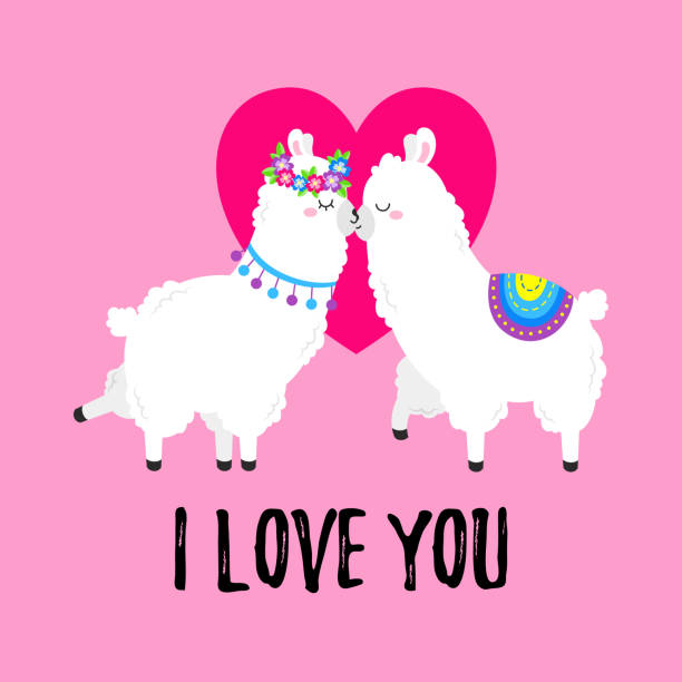 Vector cartoon card. Sweet llama. Doodle illustration. Template, background for print, design. Romantic greetings Happy Valentine s Day Vector cartoon card. Sweet llama. Doodle illustration. Template, background for print design couple tattoo quotes stock illustrations