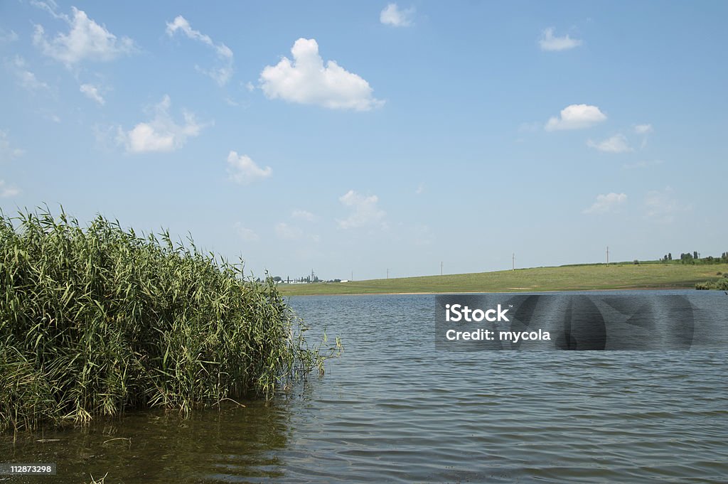 Canne et à l'eau - Photo de Blanc libre de droits