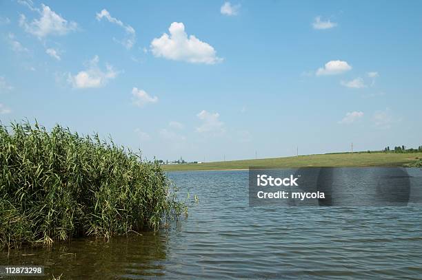 Photo libre de droit de Canne Et À Leau banque d'images et plus d'images libres de droit de Blanc - Blanc, Bleu, Ciel