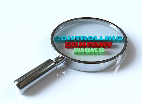 Controlling Company Risks