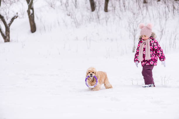 Little girl walk in snow with cocker spaniel