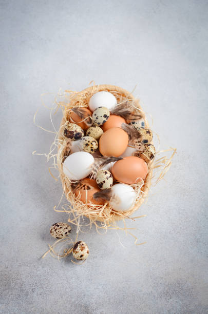 istock Different types of eggs in a basket on a gray concrete background. 1128737470