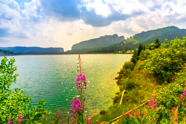 istock Sunny day in the mountains 1128739201