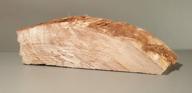 un pezzo di legno. tavola di legno. billetta wood.wooden - woodwooden foto e immagini stock