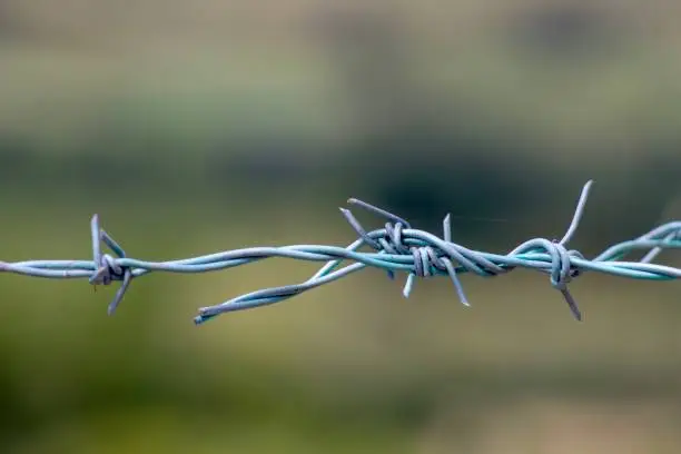 Photo of Barbed wire