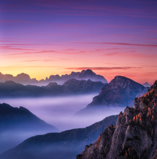 Mountains in fog at beautiful sunset in autumn in Dolomites, Italy. Landscape with alpine mountain valley, low clouds, trees on hills, purple sky with clouds at dusk. Aerial view. Passo Giau. Nature Mountains in fog at beautiful sunset in autumn in Dolomites, Italy. Landscape with alpine mountain valley, low clouds, trees on hills, purple sky with clouds at dusk. Aerial view. Passo Giau. Nature dolomites photos stock pictures, royalty-free photos & images
