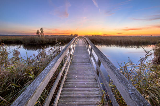 istock Wooden bridge for bicycles 1128744616