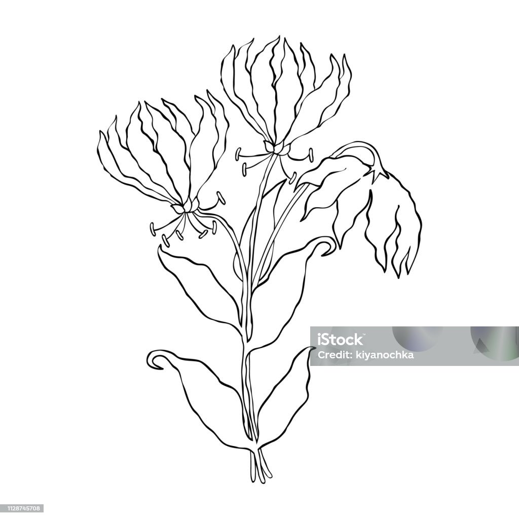 Hand drawn flowers Hand drawn flowers on white background. Coloring pages. Abstract stock vector